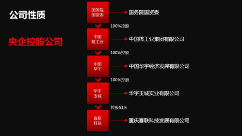 新囍聯(lián)新產(chǎn)品新模式渠道商啟動(dòng)大會(huì)圓滿召開，開啟互聯(lián)網(wǎng)數(shù)據(jù)服務(wù)新篇章